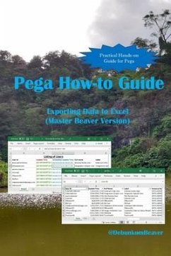 Pega How-to Guide: Exporting Data to Excel (Master Beaver Version) - Beaver, Debunkum