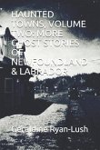Haunted Towns, Volume Two: More Ghost Stories of Newfoundland & Labrador