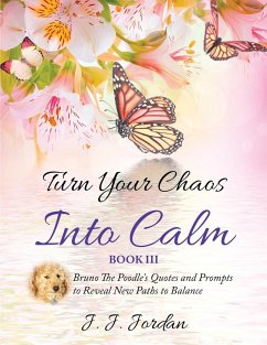 Turn Your Chaos Into Calm - Jordan, J. J.