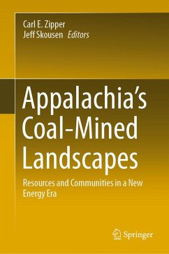 Cover Appalachia's Coal-Mined Landscapes (eBook, PDF)