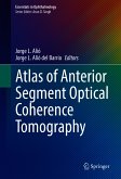 Atlas of Anterior Segment Optical Coherence Tomography (eBook, PDF)