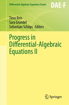 Progress in Differential-Algebraic Equations II (eBook, PDF)