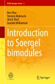 Introduction to Soergel Bimodules (eBook, PDF)