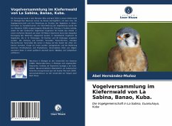 Vogelversammlung im Kiefernwald von La Sabina, Banao, Kuba. - Hernández-Muñoz, Abel