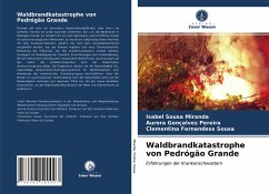 Waldbrandkatastrophe von Pedrógão Grande - Miranda, Isabel Sousa;Pereira, Aurora Gonçalves;Sousa, Clementina Fernandess