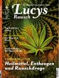 Lucys Rausch Nr. 12 - Bild 1
