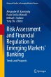 Risk Assessment and Financial... - Bild 1