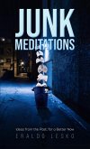 Junk Meditations (eBook, ePUB)