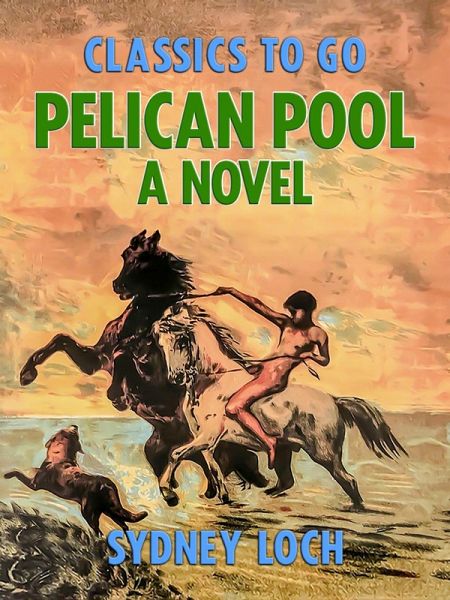 Pelican Pool A Novel (eBook, ePUB)