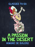 A Passion in the Desert (eBook, ePUB)