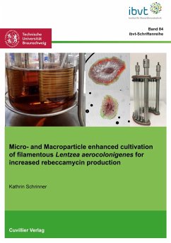 Micro- and Macroparticle enhanced cultivation of filamentous Lentzea aerocolonigenes for increased rebeccamycin production - Schrinner, Kathrin