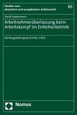 Arbeitnehmerüberlassung beim Arbeitskampf im Entleiherbetrieb (eBook, PDF)