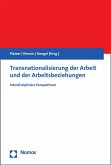 Transnationalisierung der Arbeit und der Arbeitsbeziehungen (eBook, PDF)