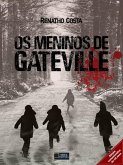 Os Meninos de Gateville (eBook, ePUB)