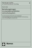 Betriebsregelungen im eisenbahnrechtlichen Lärmschutzsystem (eBook, PDF)