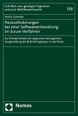 Herausforderungen bei einer Softwareentwicklung im Scrum-Verfahren (eBook, PDF)