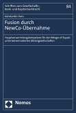 Fusion durch NewCo-Übernahme (eBook, PDF)