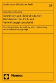 Kollektiver und überindividueller Rechtsschutz im Zivil- und Verwaltungsprozessrecht (eBook, PDF)