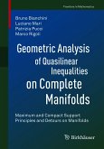 Geometric Analysis of Quasilinear Inequalities on Complete Manifolds (eBook, PDF)