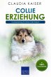 Collie Erziehung - Hundeerziehung für... - Bild 1