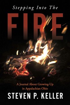 Cover Stepping Into The Fire (eBook, ePUB)