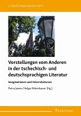 Vorstellungen vom Anderen in der tschechisch- und deutschsprachigen Literatur (eBook, PDF)