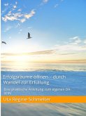 Erfolgsräume öffnen - durch Wandel zur Erfüllung (eBook, ePUB)