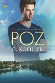 Poz (The Lives of Remy and Michael, #1) (eBook, ePUB)