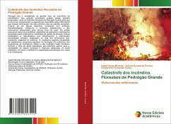 Catástrofe dos Incêndios Florestais de Pedrógão Grande - Miranda, Isabel Sousa;Pereira, Aurora Gonçalves;Sousa, Clementina Fernandes