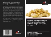 Analisi socio-economica della promozione del settore degli anacardi