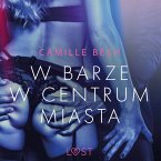 W barze w centrum miasta - opowiadanie erotyczne (MP3-Download)