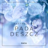 Nastrojowo - Pada deszcz (MP3-Download)