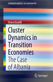 Cluster Dynamics in Transition Economies