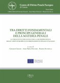 Tra diritti fondamentali e principi generali della materia penale (eBook, PDF)