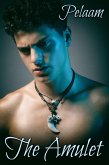 Amulet (eBook, ePUB)