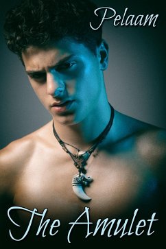 Cover Amulet (eBook, ePUB)
