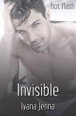 Invisible (eBook, ePUB)