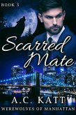 Scarred Mate (eBook, ePUB)