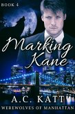 Marking Kane (eBook, ePUB)
