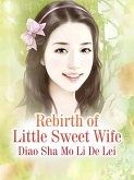 Rebirth of Little Sweet Wife (eBook, ePUB)