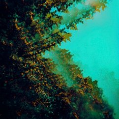 Caterpillars Of Creation - Polymoon