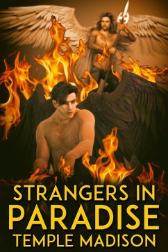Cover Strangers in Paradise (eBook, ePUB)