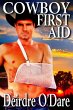 Cowboy First Aid (eBook, ePUB) - Bild 1