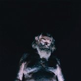 The Great Dismal The Great Dismal