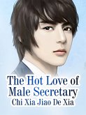 Hot Love of Male Secretary (eBook, ePUB)