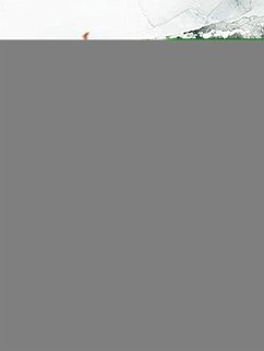 Cover Immortal Doctor (eBook, ePUB)