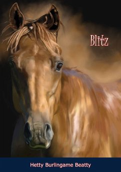 Cover Blitz (eBook, ePUB)