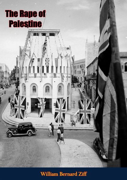 Rape of Palestine (eBook, ePUB)