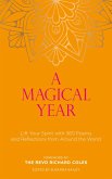 Magical Year (eBook, ePUB)