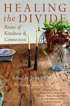 Cover Healing the Divide (eBook, ePUB)